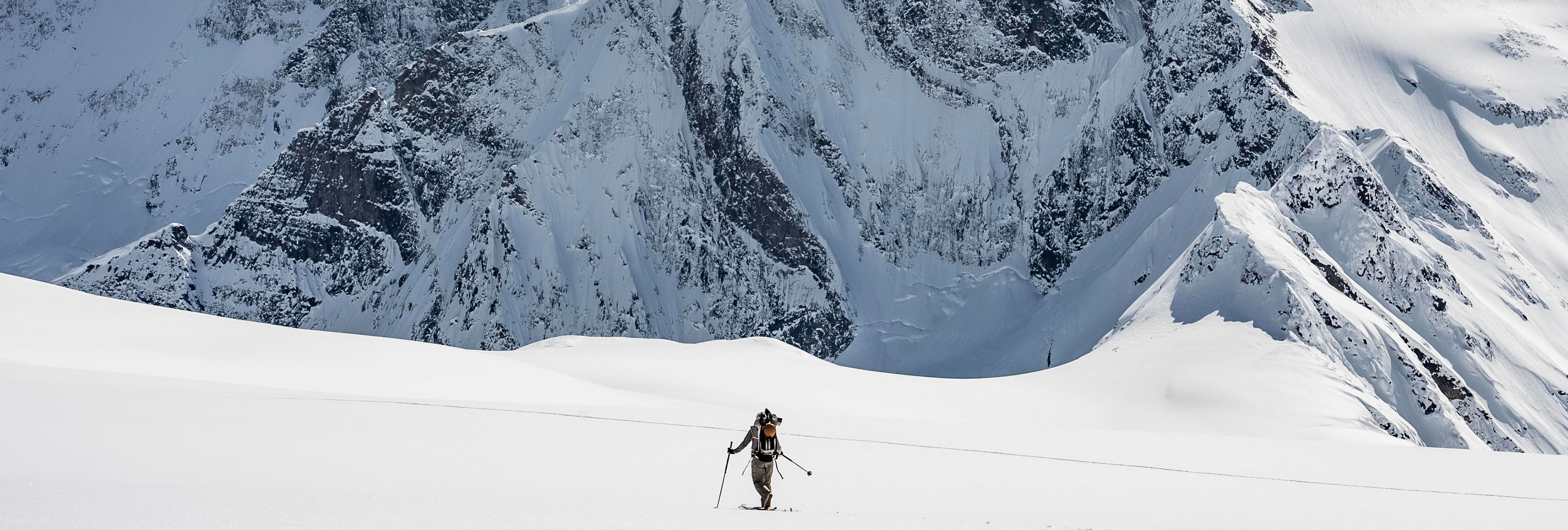 Проект «The FIFTY»